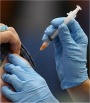pand�mie de grippe A